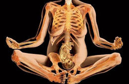 X�����µ��и�����������