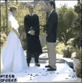 图哥乐呵永远不要低估喵星人的弹跳力