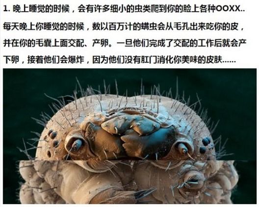 知道了就很想忘掉的冷知识|冷知识|熊猫|宇宙