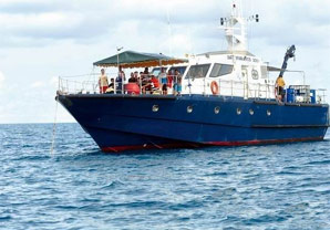 ̨������ǹɱ̨������ɱ���ֻ