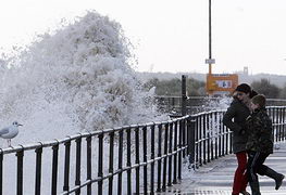 Ӣ����������50����������