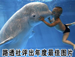 路透社评出年度最佳图片