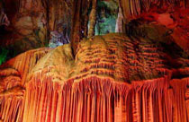 ���������������ػ�����