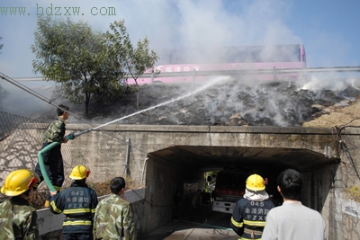 泉州大坪山隧道路段绿化带着火