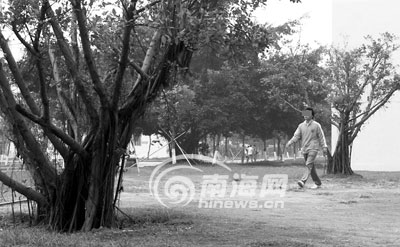课桌刻情书 部分大学生不文明行为令人忧[图]