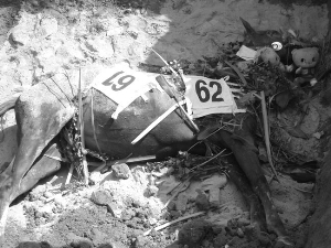 他们为什么向一匹赛马三鞠躬