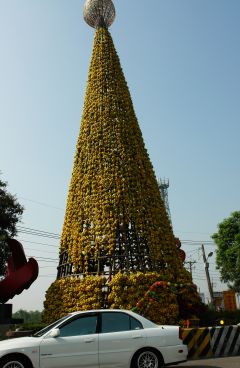 台湾橙子圣诞树 高达五层楼全球独一无二(图)
