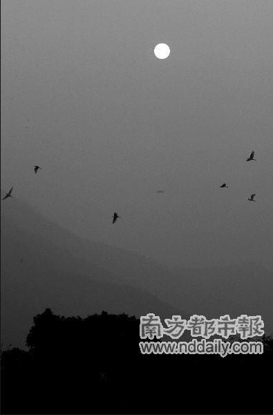 【关于雾霾的新闻素材】 作文素材1.雾霾 雾霾