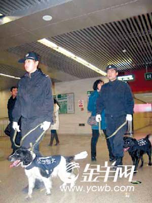 ����������Ȯ�ϸ���Σ��Ʒ