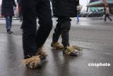 ����������ʮ��һ����ѩ�ֺ����ڽ�ͨ��Ӱ��