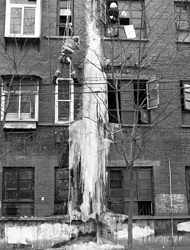 连日来,济南市天桥区一居民楼因楼顶太阳能热