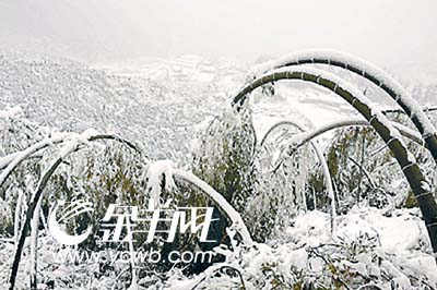 中国气象局坦承:没料到雪灾能持续逾20天