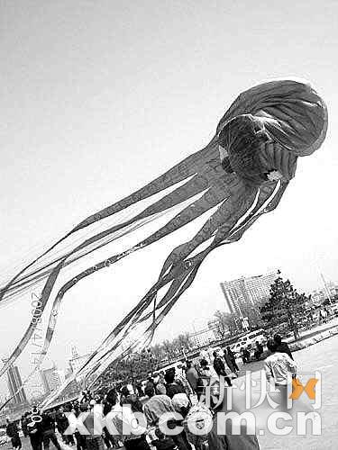 吉林巨型风筝欲申报吉尼斯