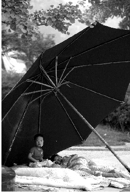 �ɶ��ȵؾ��񲻱ؿֻ�