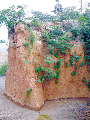 南京悬崖绝壁上发现朱元璋幺女墓