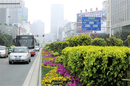 绿化带换彩妆人民东路变样