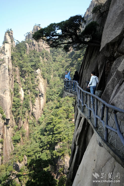 仙山福地天下无双走进江西三清山才知不虚此行