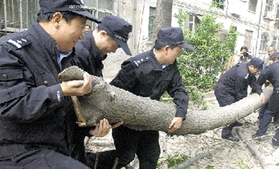 这20棵树砍得街坊没意见