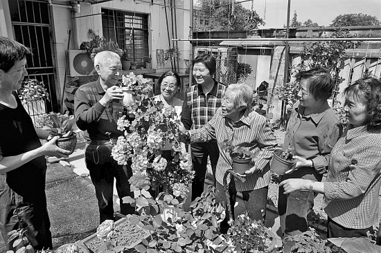 家庭"花艺班"又开课啦