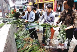 鲁祖庙菜市,市民们购买陈艾和菖蒲. 记者 张质 摄