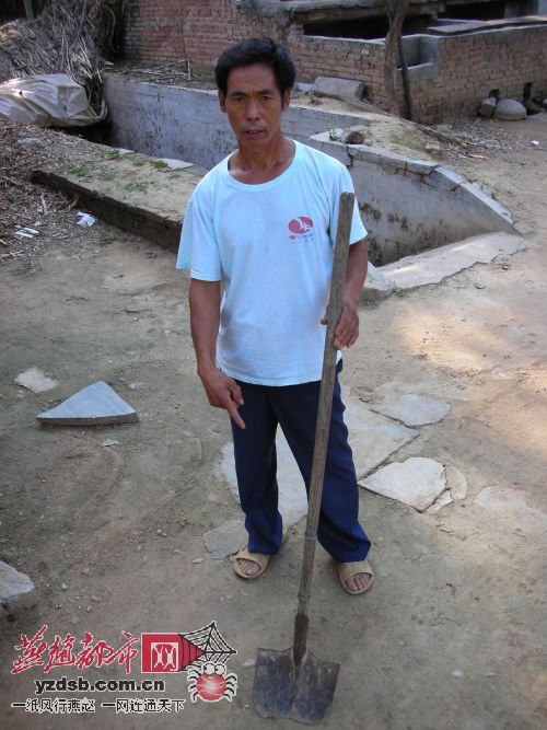 平山一村庄20头致富猪一夜遭贼手