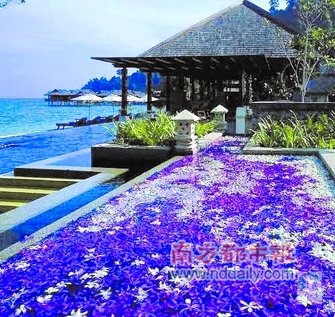 出境海岛游低价抢黄金周 旅行社包机使得团费