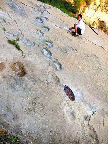 陕西神木县发现百余恐龙脚印遗迹化石(组图)