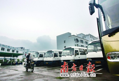 982路车辆全线停运