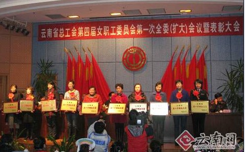 云南省总工会回顾五年成绩 表彰女职工先进代