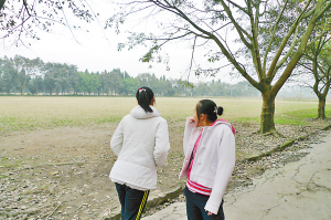 �������Ѿ���ʧ�������һ���ɻ���