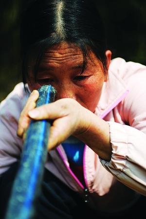 平坝有多少人口_贵州平坝樱花图片(3)