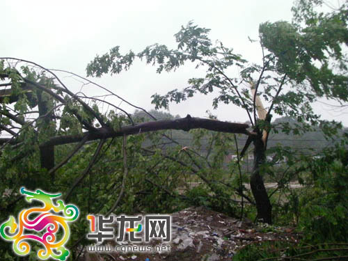 重庆风暴死亡人数增至26人政府启动应急工作
