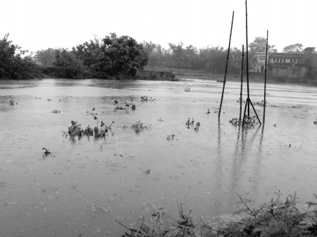 四川泸州暴雨致30万人受灾1人失踪(图)