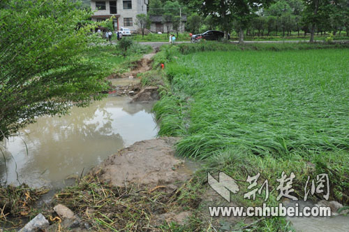 湖北罗田遭受特大暴雨灾害情目前无人员伤亡