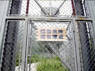 西安老虎吃人动物园已整改检察官建议增设警铃