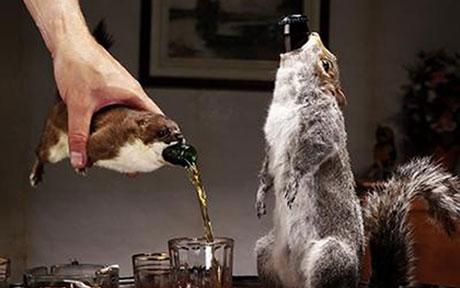 英国酒厂制作动物尸体啤酒瓶松鼠"死不瞑目"