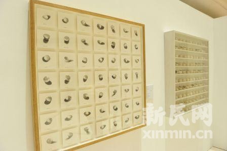 11位中国比利时艺术家上海开展演绎“思维的乐趣”