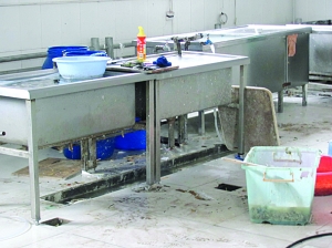 苍蝇横飞卫生堪忧