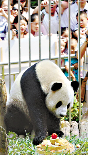 熊猫“伟伟”