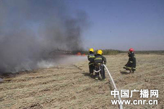 芦苇突发大火危急民房消防火速化解险情