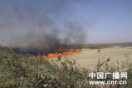 芦苇突发大火危急民房消防火速化解险情