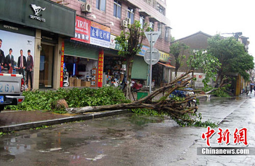 广东东部因台风大面积降雨(图)