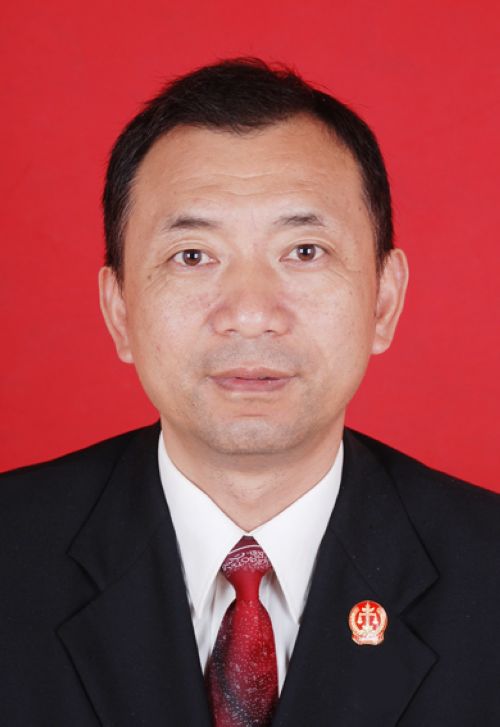 汉南区人民法院执行庭副庭长李海元