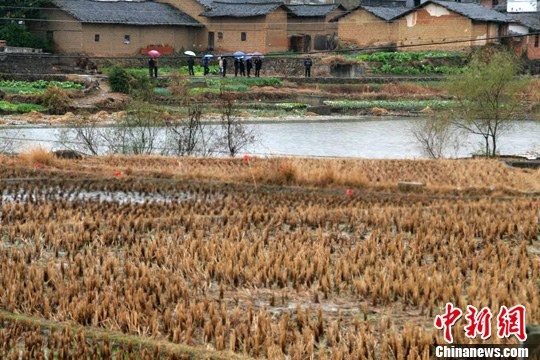 地面下陷部分已被水淹没成了一块水面。会昌县委宣传部供图