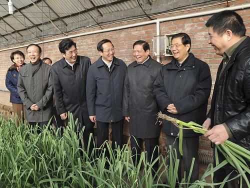 这是胡锦涛在北京金福艺农农业科技发展有限公司的温室大棚，实地察看蔬菜生产情况。新华社记者 李学仁 摄