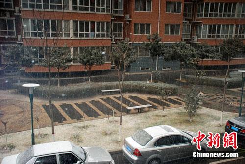 ֣��ӭ��2011���һ��ѩ