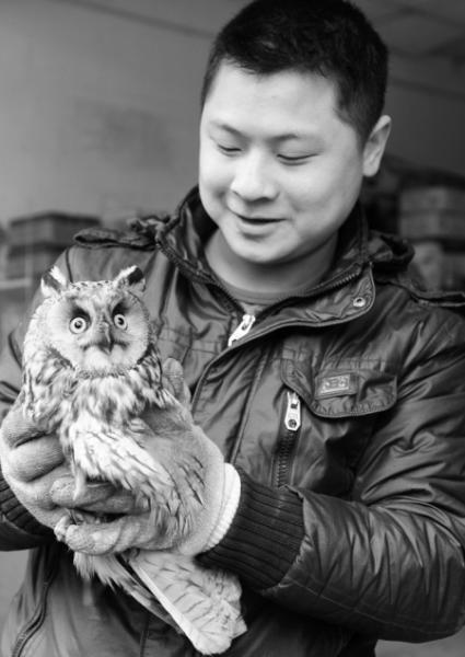 猫头鹰饿晕在路边好心人送去动物园_新闻中心_新浪网