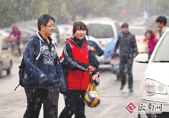 春城昨日飘雪花