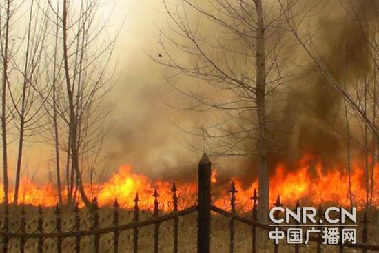 廊坊一高尔夫球场突发大火当地紧急扑灭排险