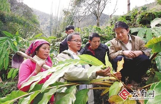 记福贡县马吉米村4年连任的新农村指导员张晓东